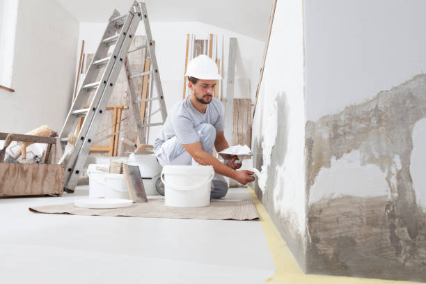 Best Forensic Mold Investigation  in Greeneville, TN