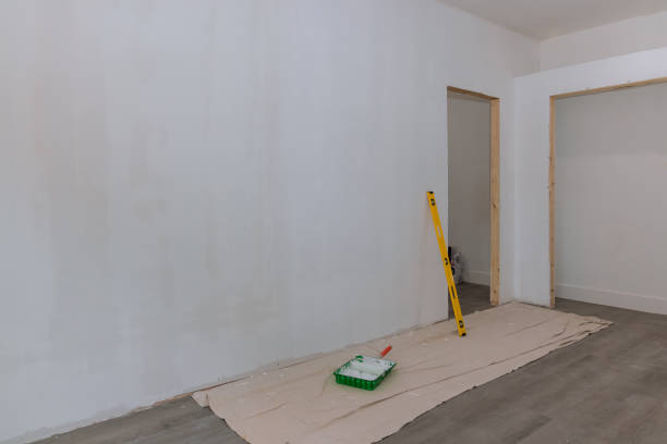 Best Post-Construction Mold Inspection  in Greeneville, TN