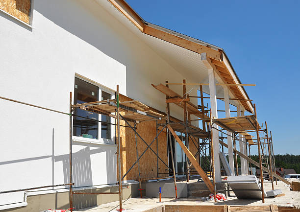 Best Emergency Mold Remediation  in Greeneville, TN